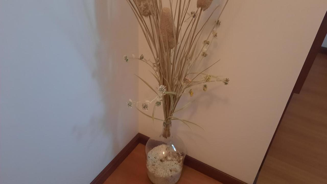 شقة Ana Paula House أفيرو المظهر الخارجي الصورة